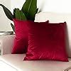 Amazon Artcest Set Of 2 Cozy Solid Velvet Throw Pillow Case