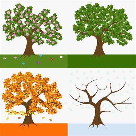 Four Seasons Tree Transfers