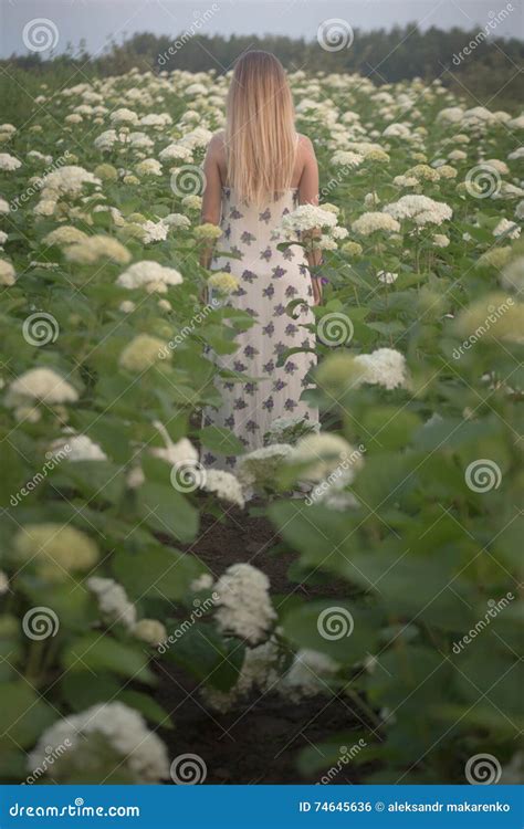 Young Beautiful Woman In The Warm Rays Of The Evening Sun Walking On A