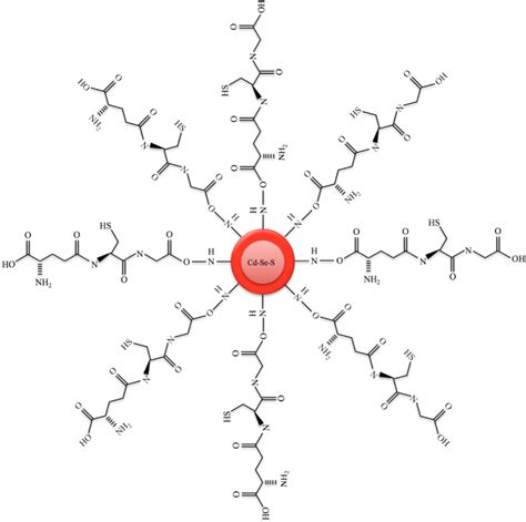 Figure 2.1 from The interaction of two Saccharomyces cerevisiae strains ...
