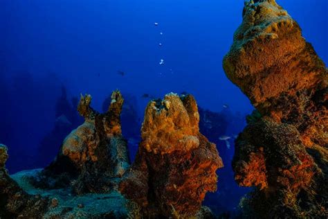 Underwater Volcanoes Incredible Photos Reveal Volcanic Activity Near