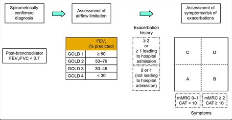 The 2017 Global Initiative For Chronic Obstructive Lung Disease Report And Practice Implications