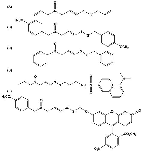 An Appraisal of Developments in Allium Sulfur Chemistry: Expanding the