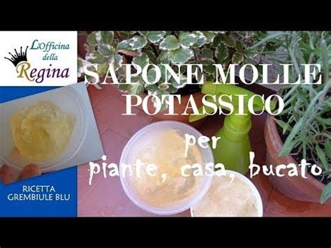 Sapone Molle Potassico Per Piante Casa Bucato Youtube Sapone