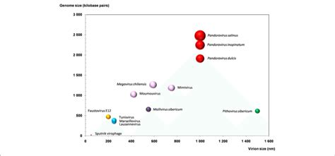 | Plot of the virion and genome sizes from representatives of giant ...