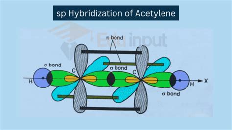 Hybridization, definition, types and significance