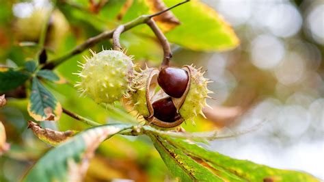 Sachsen Anhalt Mehr Anträge als Fördermittel für Naturschutzprojekte