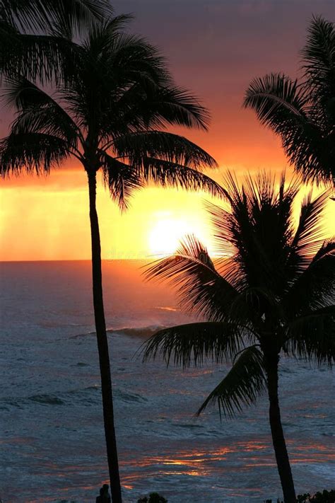 Tropical Sunset on Oahu in Hawaii Stock Photo - Image of tropical ...