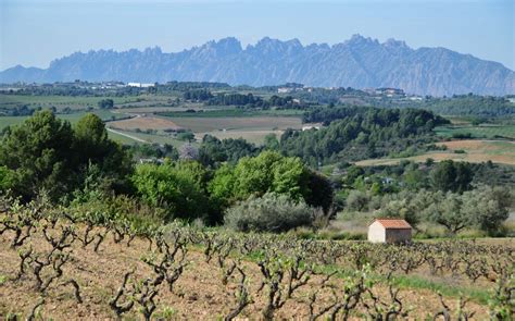 Paisatge de l Alt Penedès amb Montserrat MARIA ROSA FERRE Flickr