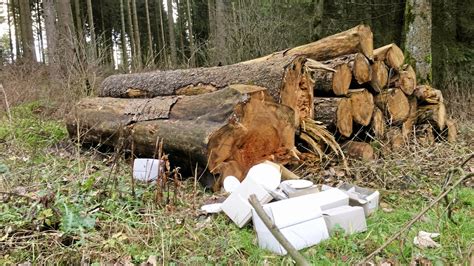 Altkreis Brilon Wo wilde Müllkippen zum Problem werden