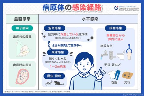 感染症対策のために知っておきたい！【感染症の基礎知識】～感染経路編～ Gme医学検査研究所