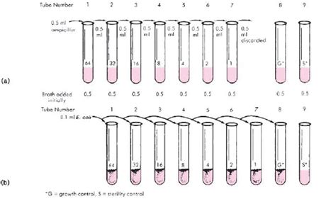 Broth Dilution Method Determining Minimum Inhibitory Concentration ...