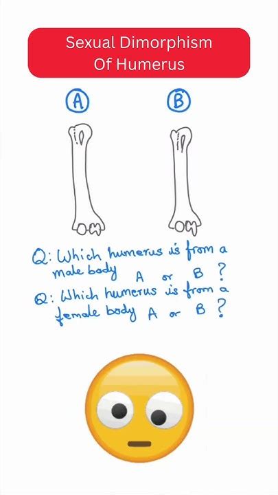 Bone Anatomy Quiz Male Vs Female Humerus Sexual Variations In Humerus