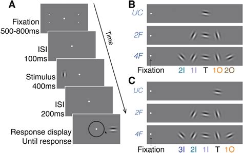 Stimulus Type And Crowding Conditions A Illustration Of The Sequence