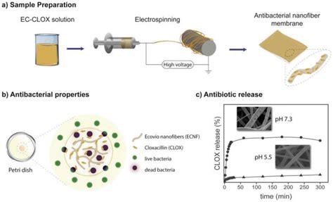 Electrospun Nanofibers Characteristic Agents And Their Applications