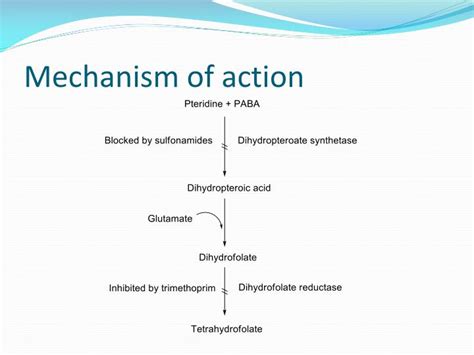 Sulfonamides Mechanism Of Action