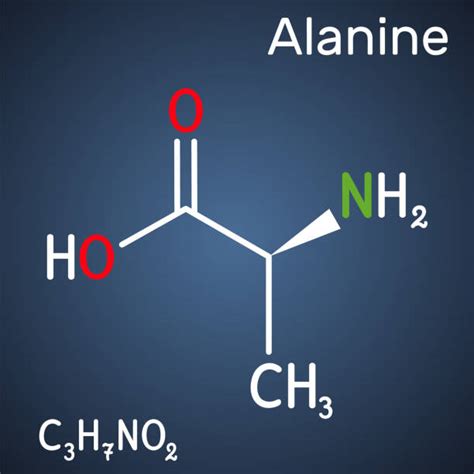 alanine structural formula stock  pictures royalty  images