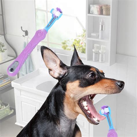 Dogs Toothbrush Non slip Handle Perfect Teeth Care Products Cleaning ...