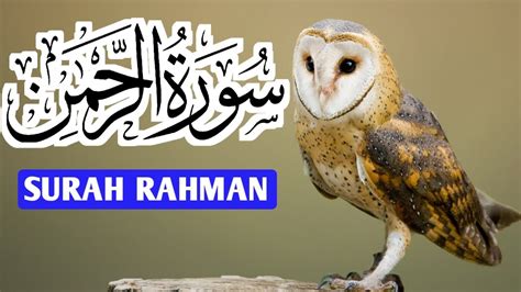 Surah Rahman Surah Ar Rahman Ep 004 Surah Rehman سورة رحمٰن Surah