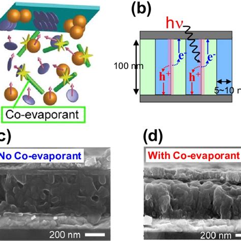 Carrier Generation In Organic Semiconductors A Single Molecular