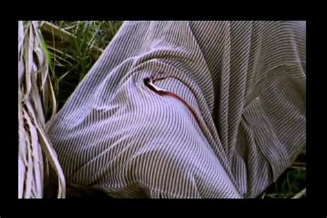 Lina Romay Porn Videos Porn Star Sex Scenes XHamster