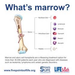 How Do You Donate Blood Stem Cells