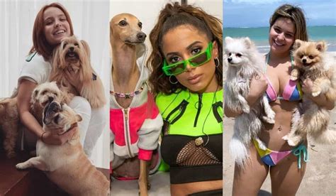 Pet Celebrity Cachorros Dos Famosos Que Fazem Sucesso Na Web