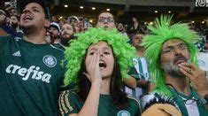 Ideias De Palmeiras Gatas Musas Torcedoras Palmeiras