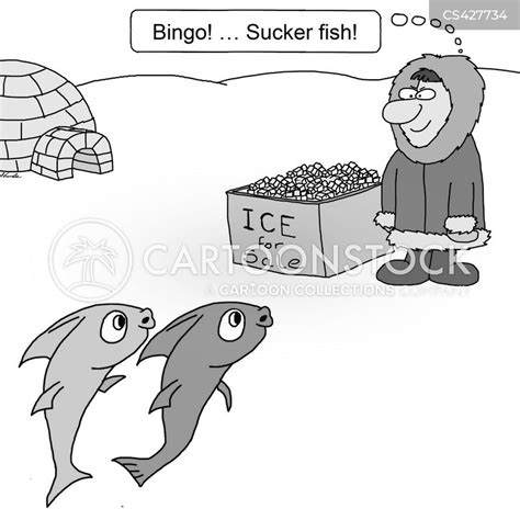 Sucker-fish Cartoons and Comics - funny pictures from CartoonStock