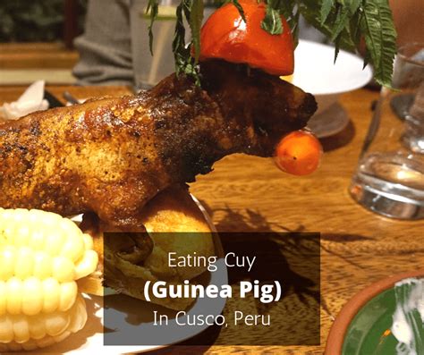 Eating Cuy Guinea Pig In Cusco Peru Buddy The Traveling Monkey