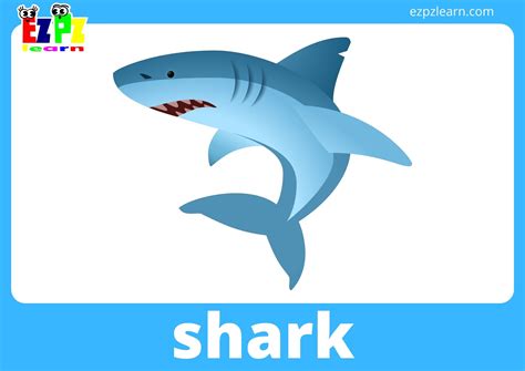 Sea Animal Flashcards With Words Use Online Or Pdf Download 15 Pages