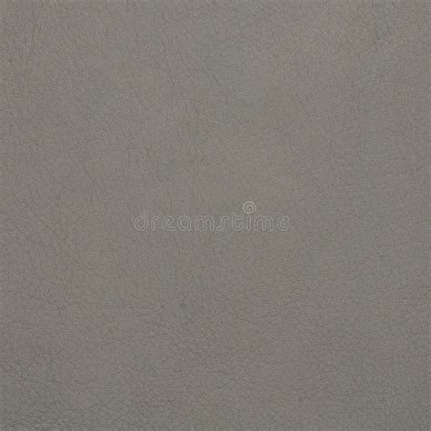 Grey Leather Texture Closeup Stock Image Image Of Creased Cowhide