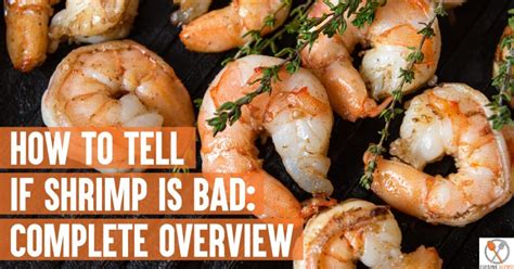 How To Tell If Shrimp Is Bad Complete Overview Cuisine Gizmo