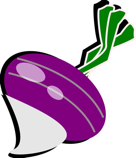 Free Turnip Cliparts, Download Free Turnip Cliparts png images, Free