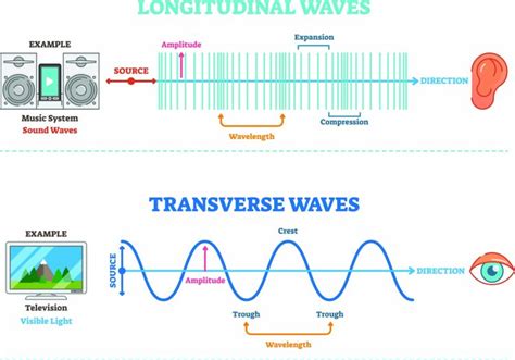 Compressional Wave Examples