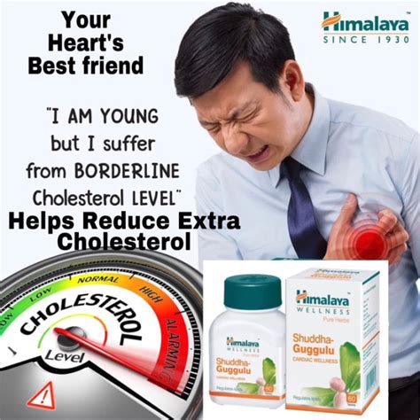 Himalaya Shuddha Guggulu Helps Reduce Cholesterol Levels In The Blood