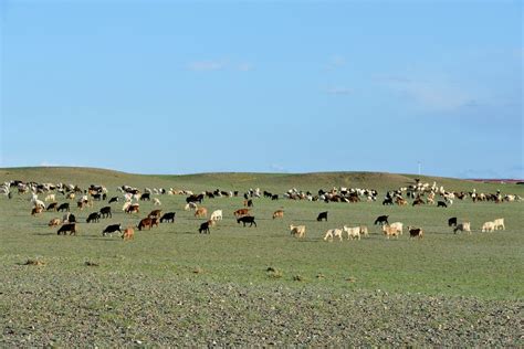 Gobi Desert Mongolia Near Bayanzag Flaming Cliffs 13 … Flickr