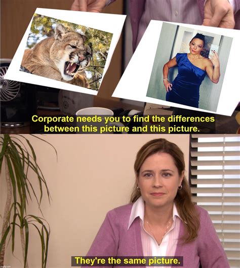 cougar Memes & GIFs - Imgflip