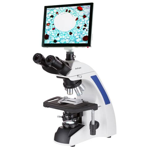 Amscope X X Infinity Plan Laboratory Compound Microscope With Lcd