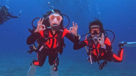 Los Mejores Trabajos De Buceo Para Buceadores Este Verano Underwaterpro