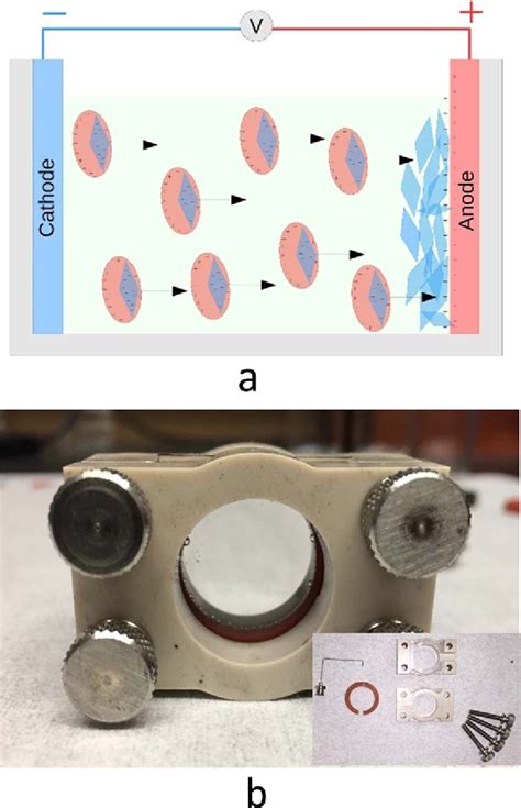 Figure 1 From Electrophoretic Deposition Of Two Dimensional Titanium