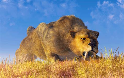 Smilodon Hunting Techniques