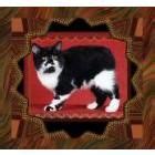 Manx Cats, Manx Kittens, and Manx cat breeders at CatsForYou.com