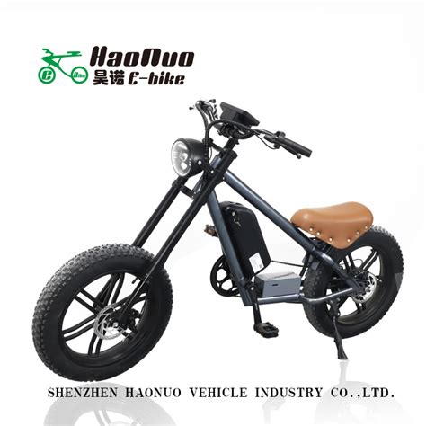 New Model Inch Fat Tyre V Watt Heavy Duty Cargo Ebikes