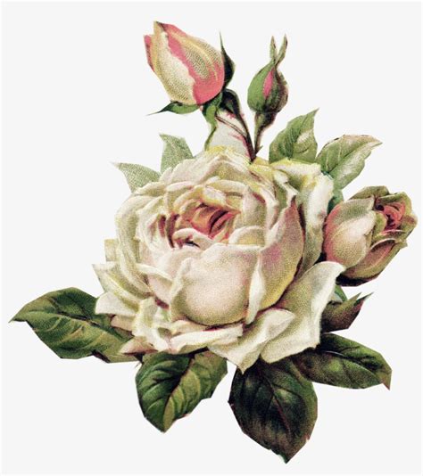 Download Pale Pink Rose Vintage Paper, Vintage Floral, Vintage - White Vintage Flowers Png ...