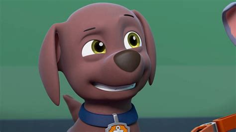 Stream Paw Patrol Nick Jr Shows Available On Philo