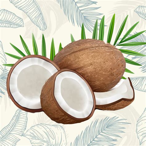 Coconut. Fresh Tropical Opened Coco Fruit with Milk and Palm ...