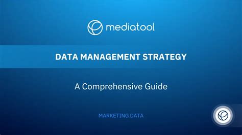 Data Management Strategy: A Comprehensive Guide | Mediatool