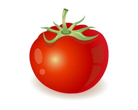 Une Tomate Rouge Vif Avec Une Tige Vecteur Premium