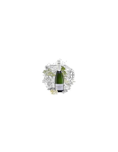 Champagne De Saint Gall 1er Cru Blanc De Blancs Packaging Bottle